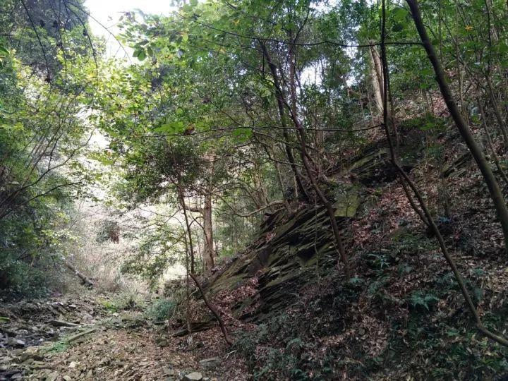 内蒙古自治区察哈尔右翼后旗发布寒潮蓝色预警